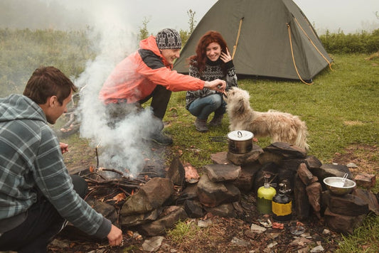 Sicher campen mit Haustieren