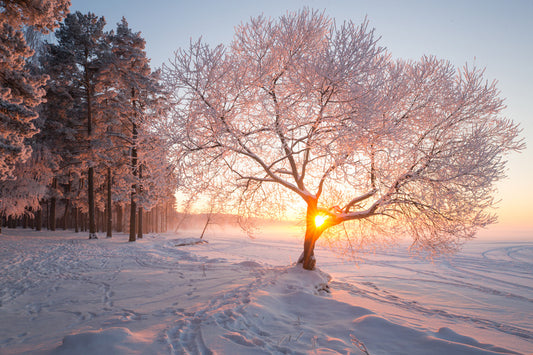 Den Winter geniessen – Outdoor-Aktivitäten und Tipps für die kalte Jahreszeit