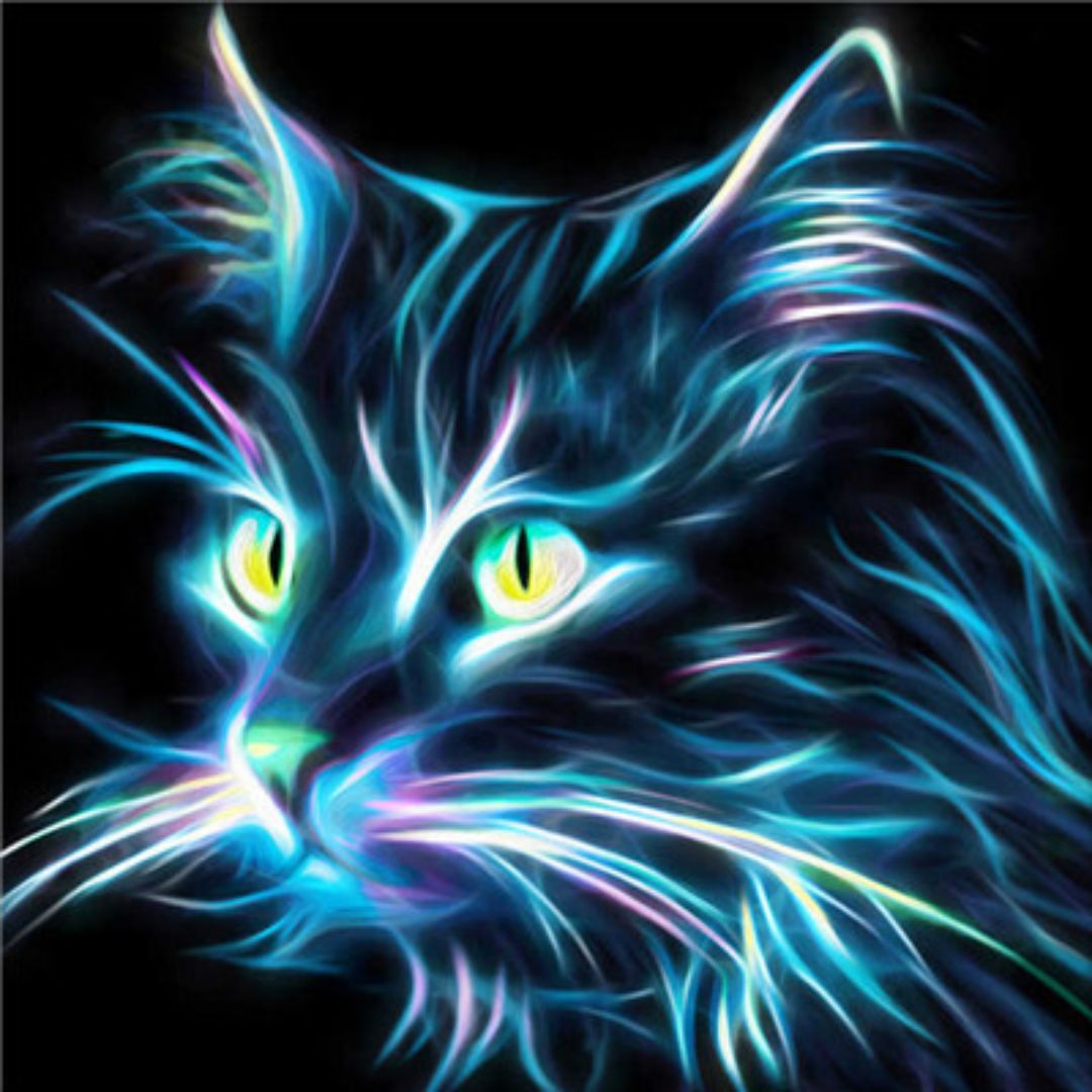 Katze - 5D Diamond Painting